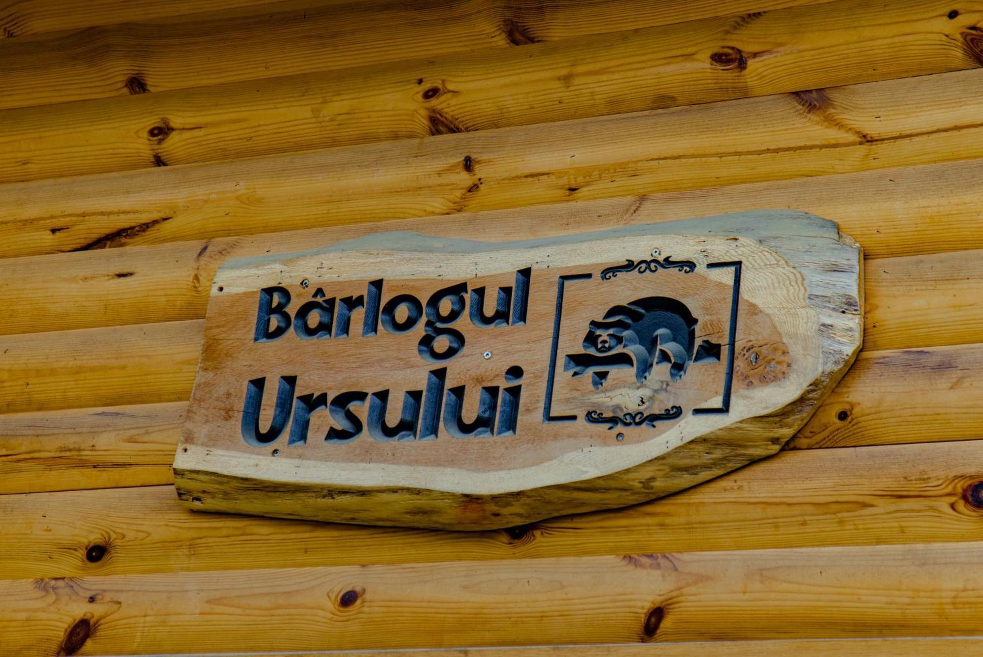 Bear'S Lair Chalet Porumbacu de Sus Exterior photo