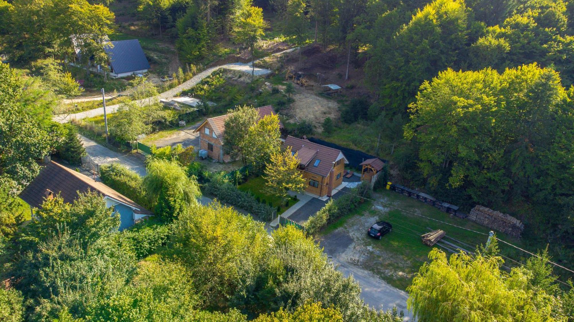 Bear'S Lair Chalet Porumbacu de Sus Exterior photo