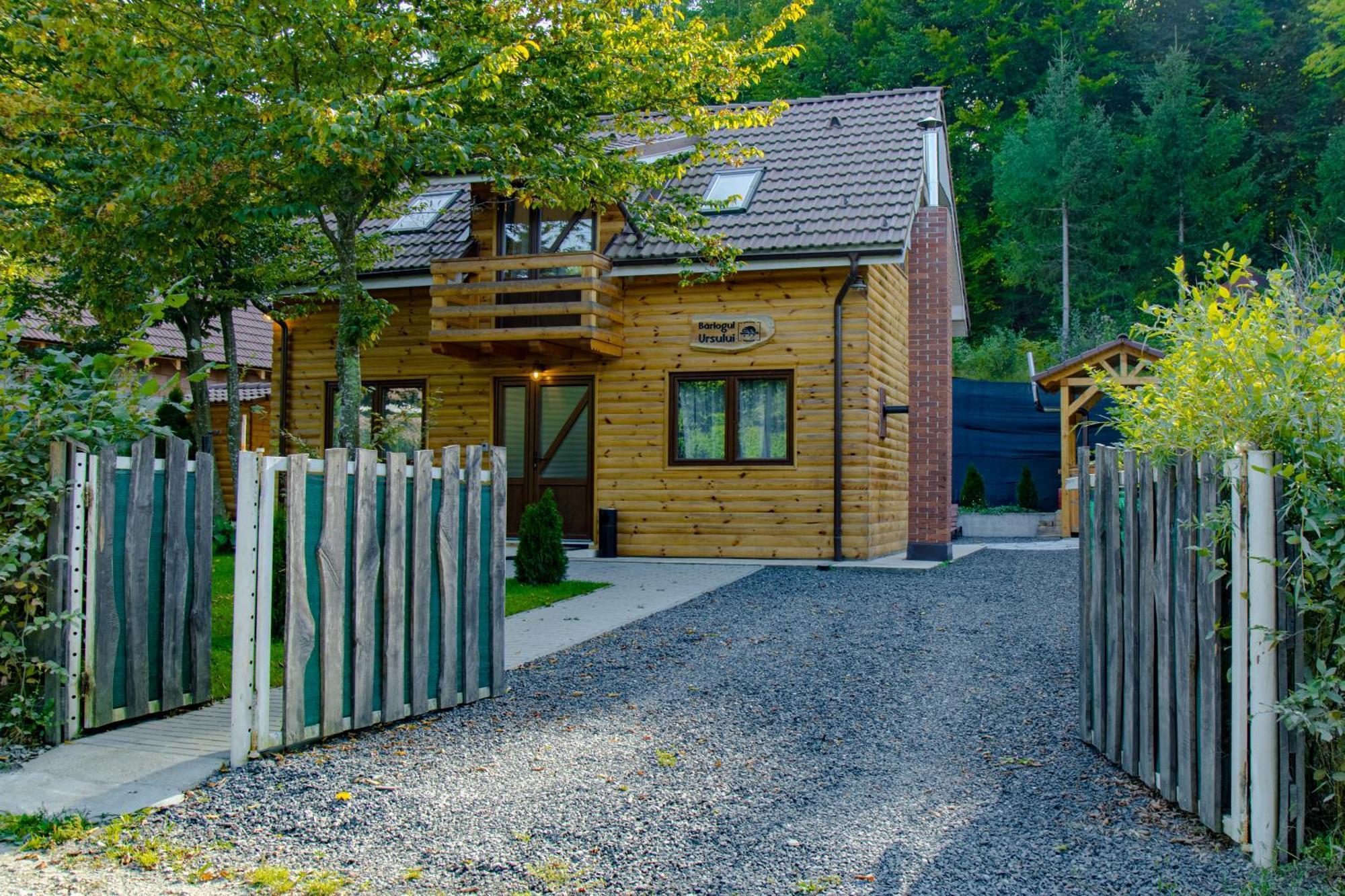 Bear'S Lair Chalet Porumbacu de Sus Exterior photo